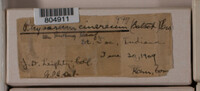 Image Associated With the Occurence